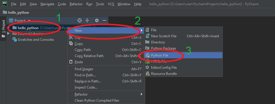 3_new_python_file